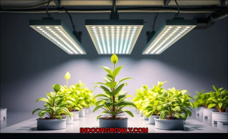 Clean vector illustration of how smart grow lights