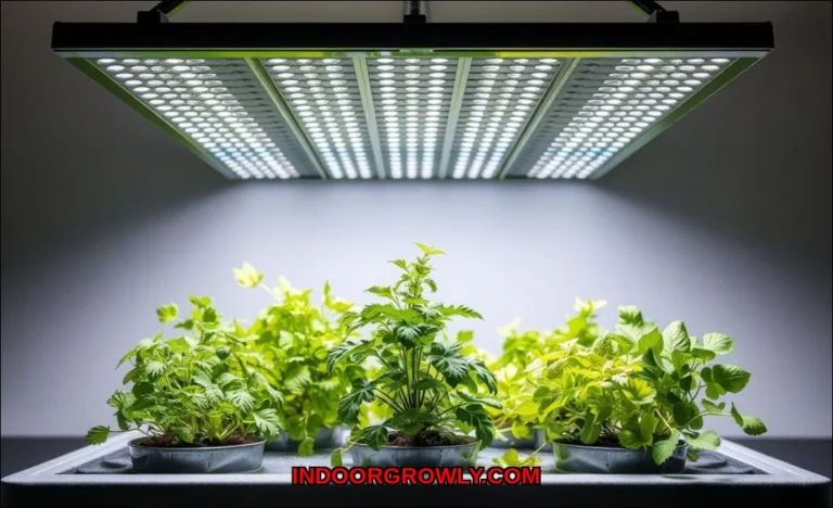 Clean vector illustration of best grow lights for